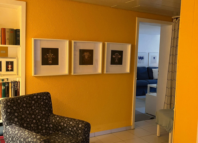 Ferienwohnung Götz mit Terrasse - Bad Liebenzell - Mein SWH