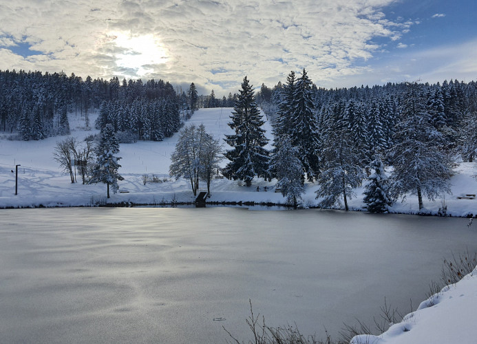Ferienwohnung Seeblick mit Balkon - Mein Schwarzwaldhäusle