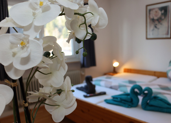 DZ Schwarzwaldzauber mit gem. Küche