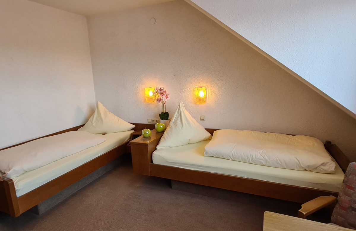 Doppelzimmer Bergblick mit 2 Einzelbetten - Pension Hauber 