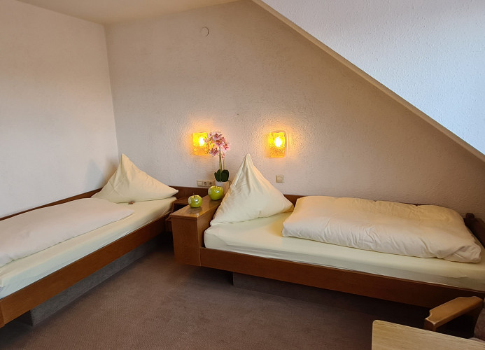 Doppelzimmer Bergblick mit 2 Einzelbetten - Pension Hauber 