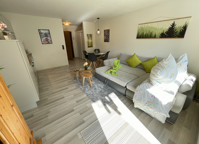 Ameisenpfad Todtmoos - Gemütlichkeit und Panorama - Mein SWH