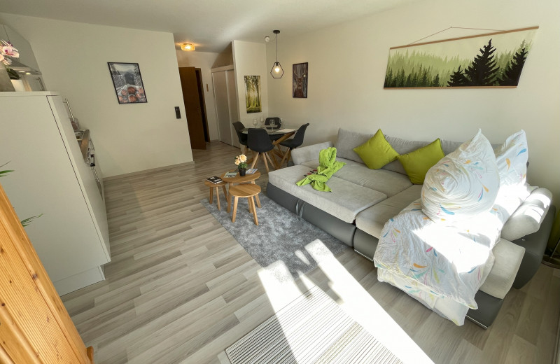 Ameisenpfad Todtmoos - Gemütlichkeit und Panorama - Mein SWH