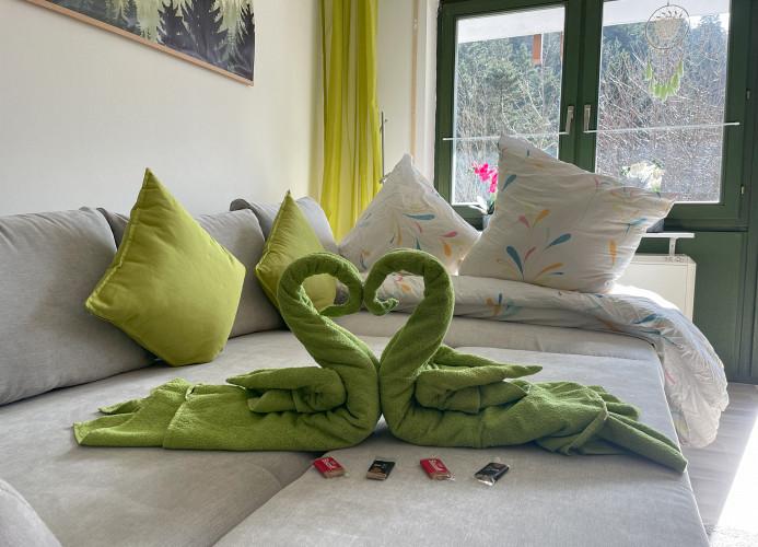 Ameisenpfad Todtmoos - Gemütlichkeit und Panorama - Mein SWH