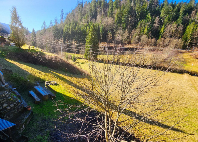 Ferienwohnung Schwarzwaldsegen mit Balkon