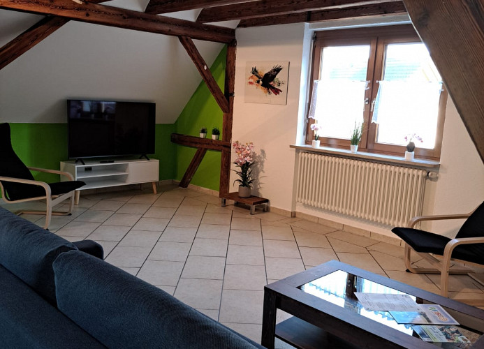Falkenburg Loft - nahe Europapark mit großem Balkon - Mein SWH