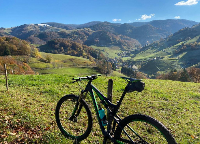 Ferienwohnung „SchwarzwaldnACHT“ – Ruhe & Natur in Todtnauberg - Mein SWH