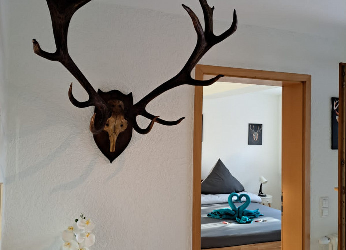 Falkenburg Loft - nahe Europapark mit großem Balkon - Mein SWH