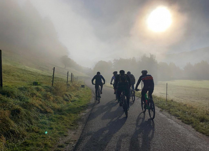 Ferienwohnung „SchwarzwaldnACHT“ – Ruhe & Natur in Todtnauberg - Mein SWH