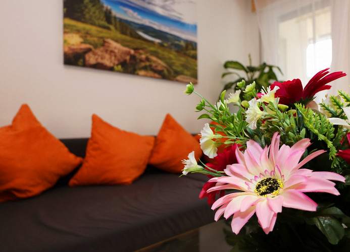 Traumferienwohnung Todtmoos - Apartment mit schönem Wintergarten    