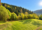 Tannenglück – Urlaubsglück mit traumhaftem Balkonblick – Mein Schwarzwaldhäusle
