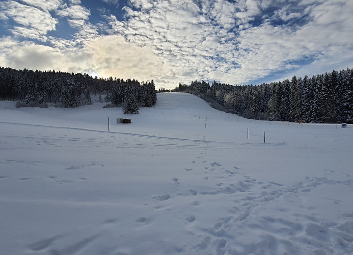 Ferienwohnung Seeblick mit Balkon - Mein Schwarzwaldhäusle