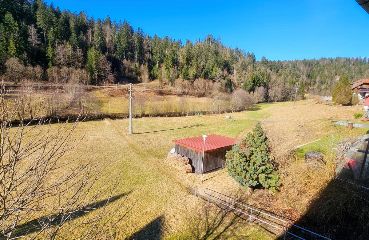 Ferienwohnung Schwarzwaldsegen mit Balkon