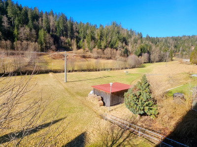 Ferienwohnung Schwarzwaldsegen mit Balkon