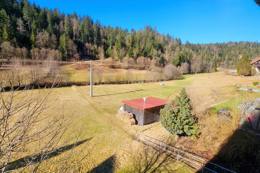 Ferienwohnung Schwarzwaldsegen mit Balkon