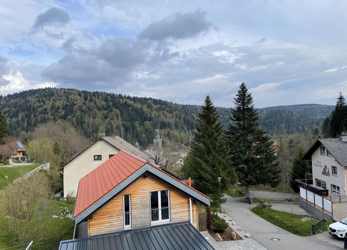 Traumferienwohnung Todtmoos - Apartment mit schönem Wintergarten    