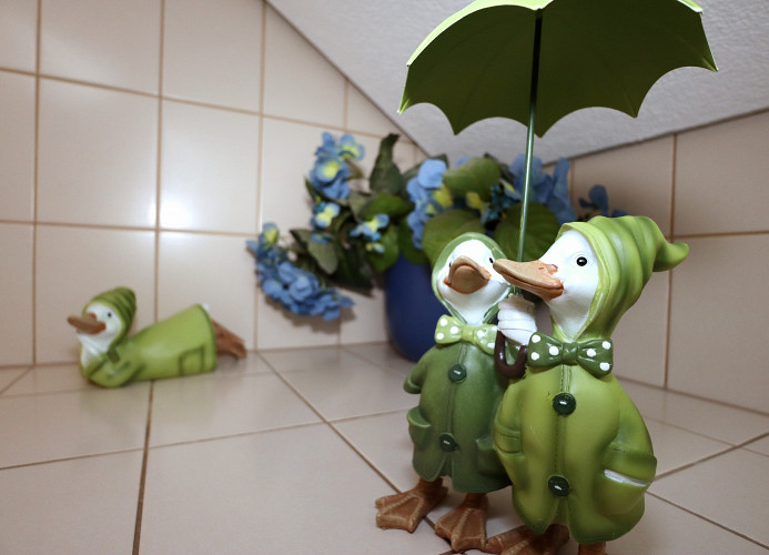 Ferienwohnung Victoria mit schöner Aussicht - Mein Schwarzwaldhäusle 