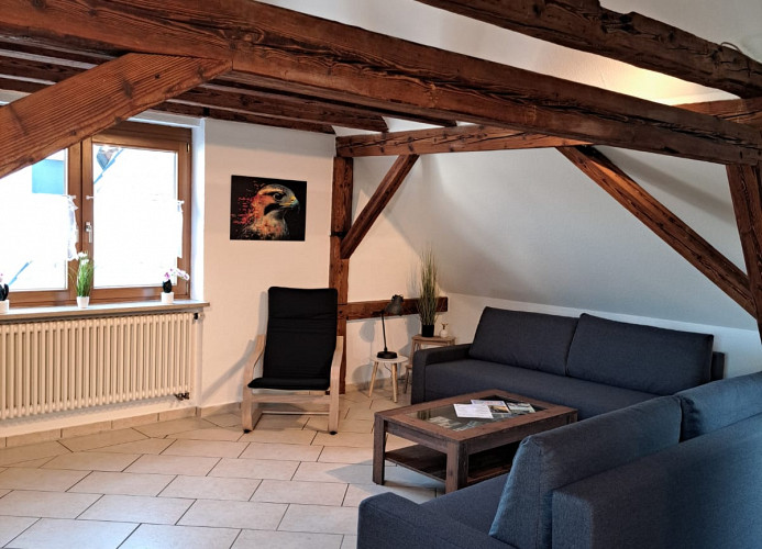 Falkenburg Loft - nahe Europapark mit großem Balkon - Mein SWH