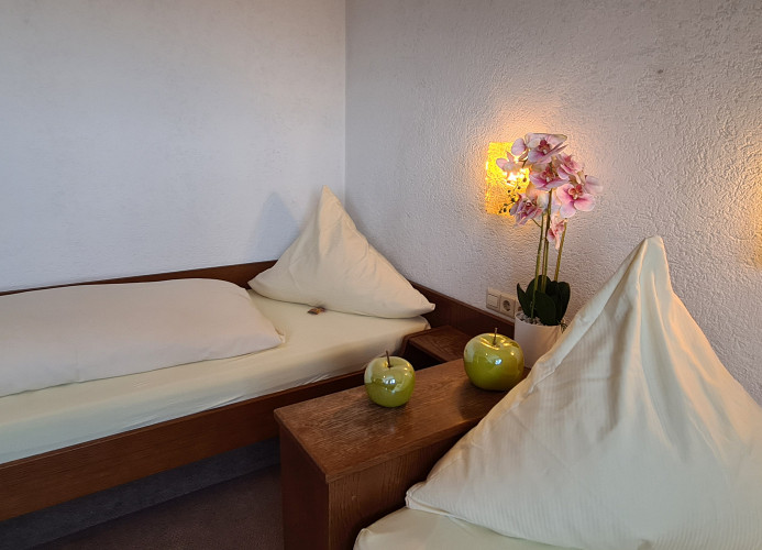 Doppelzimmer Bergblick mit 2 Einzelbetten - Pension Hauber 