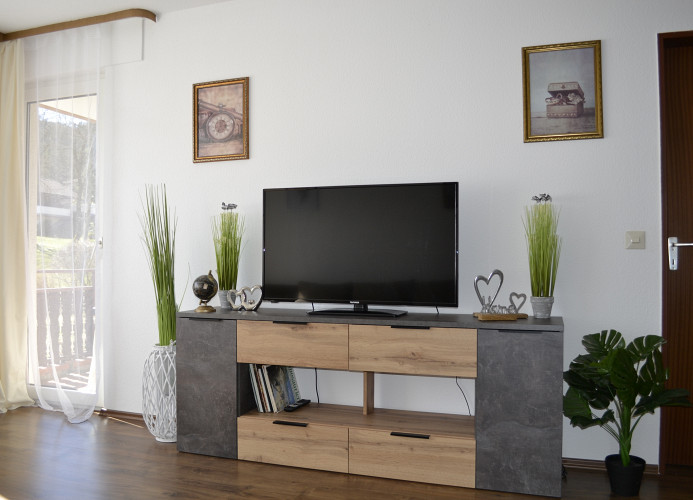 Ferienwohnung Seeblick mit Balkon - Mein Schwarzwaldhäusle