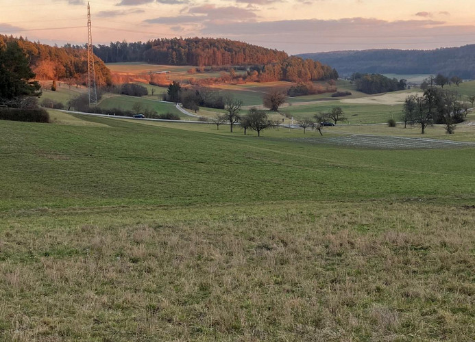 Ferienwohnung Götz mit Terrasse - Bad Liebenzell - Mein SWH