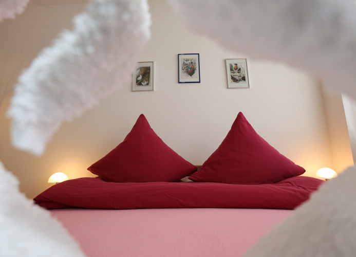 Ferienwohnung Schwarzwald Oase - Todtmoos - Mein Schwarzwaldhäusle 