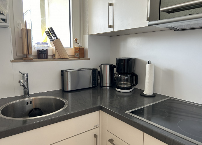 Ferienwohnung „SchwarzwaldnACHT“ – Ruhe & Natur in Todtnauberg - Mein SWH