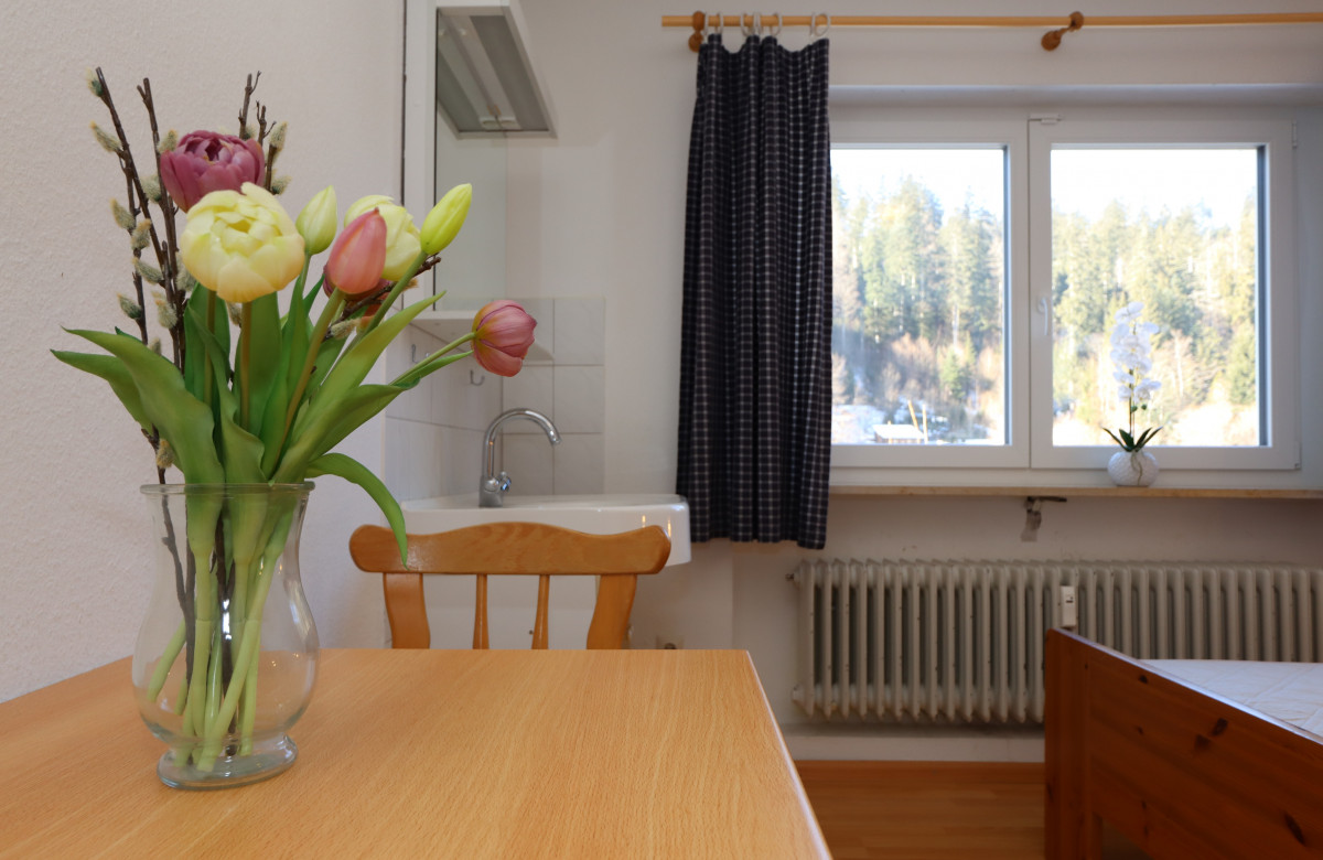 DZ Schwarzwaldzauber mit gem. Küche