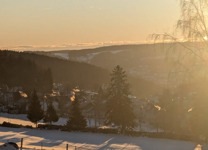 Ferienwohnung Waldblick mit Balkon und Dachterrasse mit traumhaftem Südblick - Mein SWH