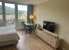 Baiersbronner Rosenberg – Balkon mit Panoramablick – Mein Schwarzwaldhäusle GmbH