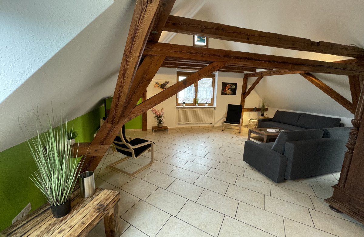 Falkenburg Loft - nahe Europapark mit großem Balkon - Mein SWH