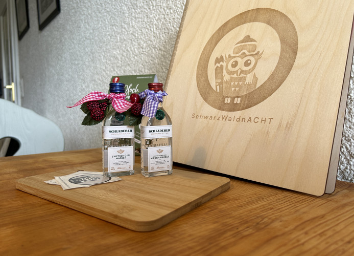 Ferienwohnung „SchwarzwaldnACHT“ – Ruhe & Natur in Todtnauberg - Mein SWH