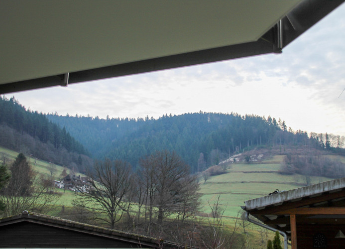 Ferienwohnung Sterzl mit Terrasse im Münstertal