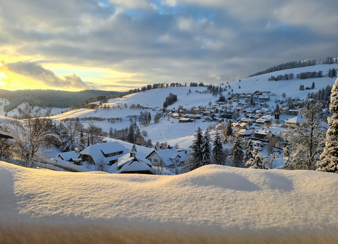 Ferienwohnung Naturverliebt im Schwarzwald - mit Sauna und Panoramabalkon, direkt an Skipiste und Wanderwegen