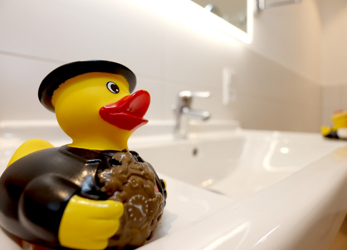 Ferienwohnung Schönwaldblick - 2 große Balkone mit traumhafter Sicht - barrierefrei - Mein SWH