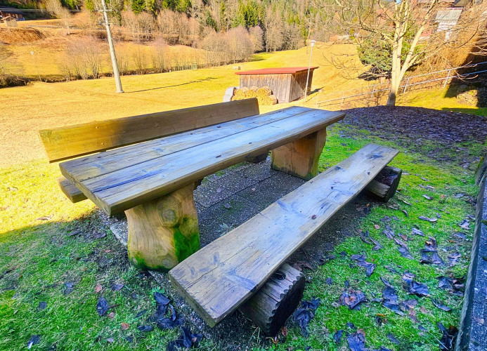 DZ Schwarzwaldzauber mit gem. Küche