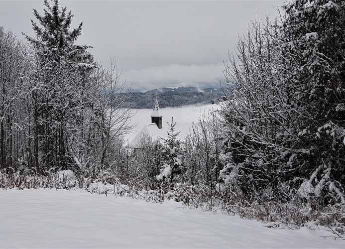 Ferienwohnung Naturverliebt im Schwarzwald - mit Sauna und Panoramabalkon, direkt an Skipiste und Wanderwegen