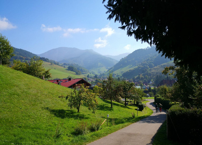 Ferienwohnung „SchwarzwaldnACHT“ – Ruhe & Natur in Todtnauberg - Mein SWH