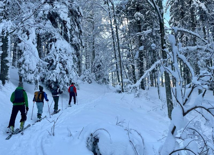 Ferienwohnung „SchwarzwaldnACHT“ – Ruhe & Natur in Todtnauberg - Mein SWH