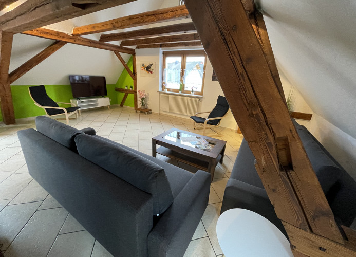Falkenburg Loft - nahe Europapark mit großem Balkon - Mein SWH