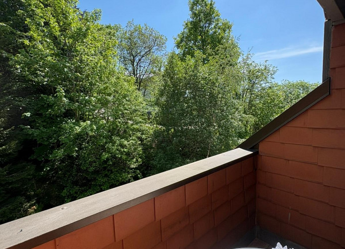 Ferienwohnung Bergrauschen im schönen Todtnauberg - Mein SWH