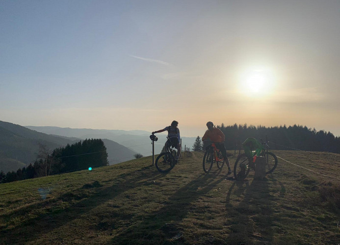 Ferienwohnung „SchwarzwaldnACHT“ – Ruhe & Natur in Todtnauberg - Mein SWH