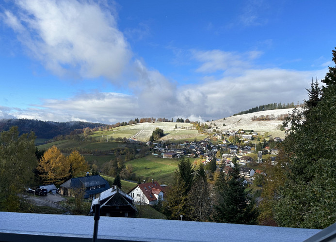 Ferienwohnung Naturverliebt im Schwarzwald - mit Sauna und Panoramabalkon, direkt an Skipiste und Wanderwegen