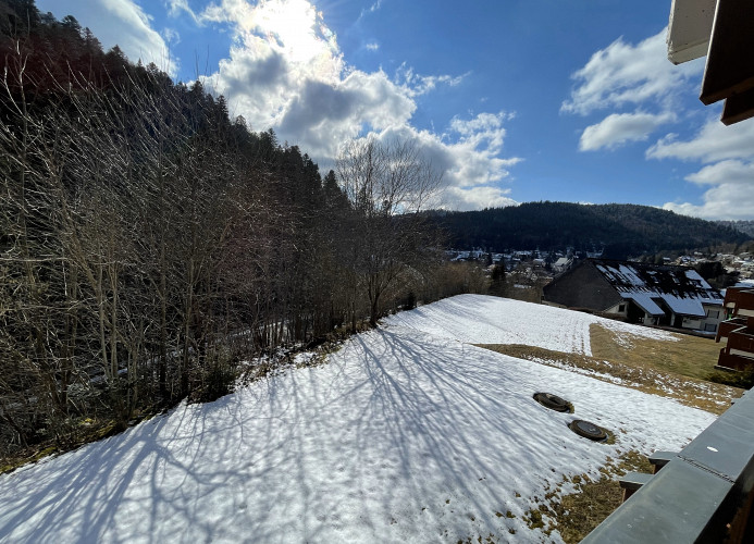 Ameisenpfad Todtmoos - Gemütlichkeit und Panorama - Mein SWH
