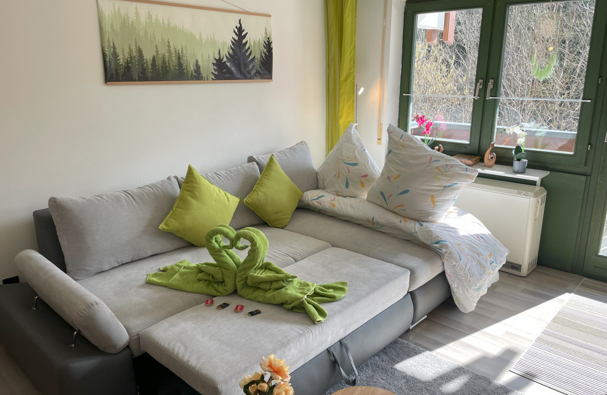 Ameisenpfad Todtmoos - Gemütlichkeit und Panorama - Mein SWH