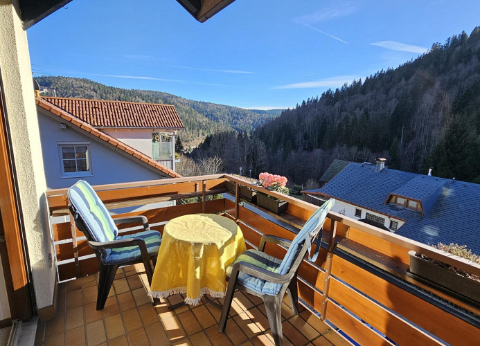 Apartment Traumblick mit Balkon Todtmoos 