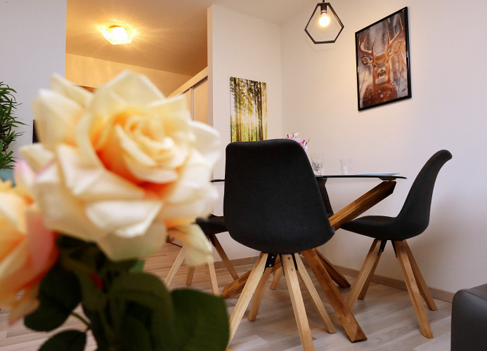 Ameisenpfad Todtmoos - Gemütlichkeit und Panorama - Mein SWH