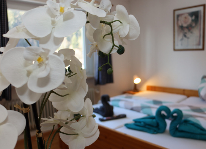 DZ Schwarzwaldzauber mit gem. Küche