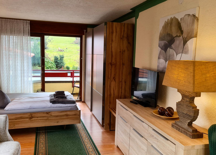 Zi01 Appartment Schönblick mit zwei Balkonen  