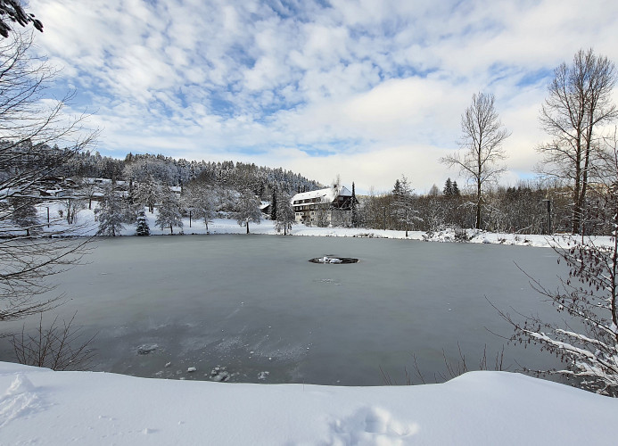 Ferienwohnung Seeblick mit Balkon - Mein Schwarzwaldhäusle